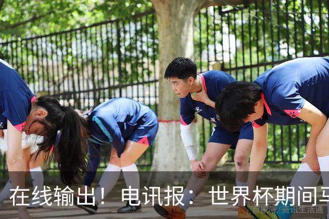 在线输出！电讯报：世界杯期间马奎尔将参加莱因克尔播客节目