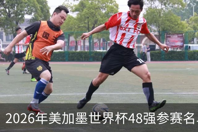 2026年美加墨世界杯48强参赛名单汇总